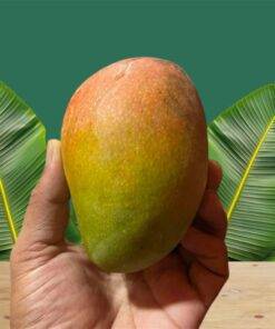 তোতাপরি/আম সিদুরে 11 Kg সারাদেশে হোম ডেলিভারি